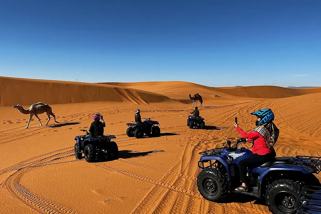 Half-day Merzouga quad tour